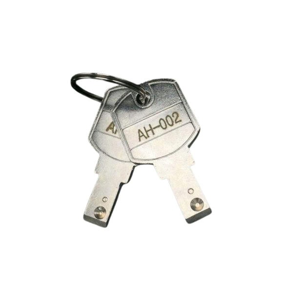 Security metal keys for ANLI cam lock, suitable for cabinet doors and secure storage solutions. Durable and precise keys designed for reliable locking and easy access control.