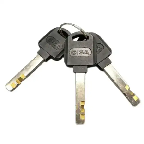 High security brass keyed padlock with three keys, ideal for securing gates, lockers, and storage units. Durable and reliable lock designed for maximum security and durability.