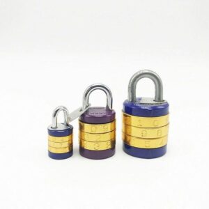 Direct sale iron the gym padlock