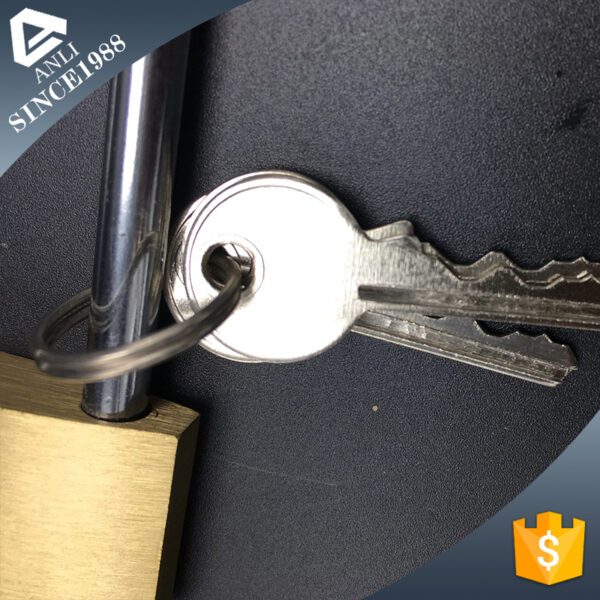 Professional manufacturer high security master key padlock waterproof - Image 6