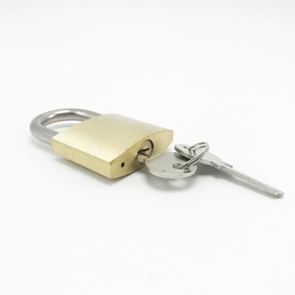 Best Quality best globe master lock brass padlock - Image 5