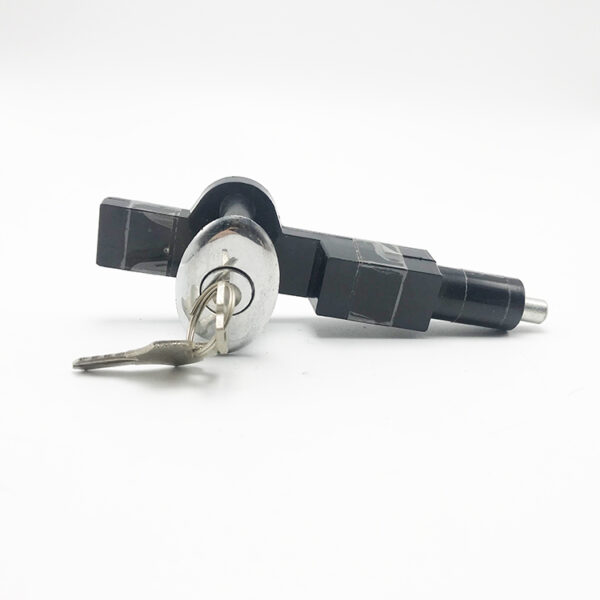 Promotional electronic for refrigerator key lock - Image 3