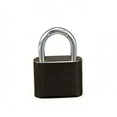 Padlock with black body and silver shackle for locker security.
