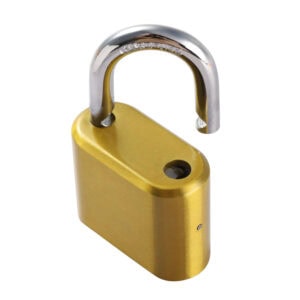 Shiny gold padlock with silver shackle isolated on white background.