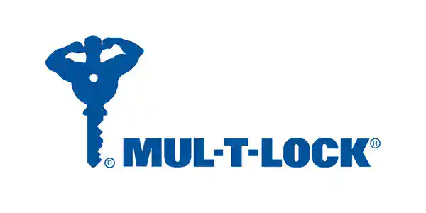 High-security ANLI lock with durable construction and advanced locking mechanism for maximum security. Perfect for residential, commercial, and industrial applications.